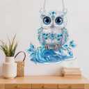 Diymood DIY Hanging Diamond Art Kits for Adults Owl, Diamond Painting Kit Pendant Special Shaped Double Sided Acrylic Sun Catcher Board Wreath Pendants Canvas Window Wall Decor 8 x 8 Inch (Colorful-1)
