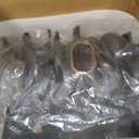 Dorman 615-188 Plastic Intake Manifold - Includes Gaskets Compatible with Select Ford Models (Made in USA)