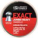 Exact .22 Caliber Air Gun Pellets (1 pack, Jumbo Exact Heavy, 18.1G, 250ct)