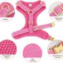 Didog Cute Small Dog Harness Collar and Leash Set with Bowtie, Breathable Soft Mesh Padded Puppy Harness, Dog Harness for Small Dogs Daily Walks Parties, Holiday Gatherings & Gifts, Hot Pink, S
