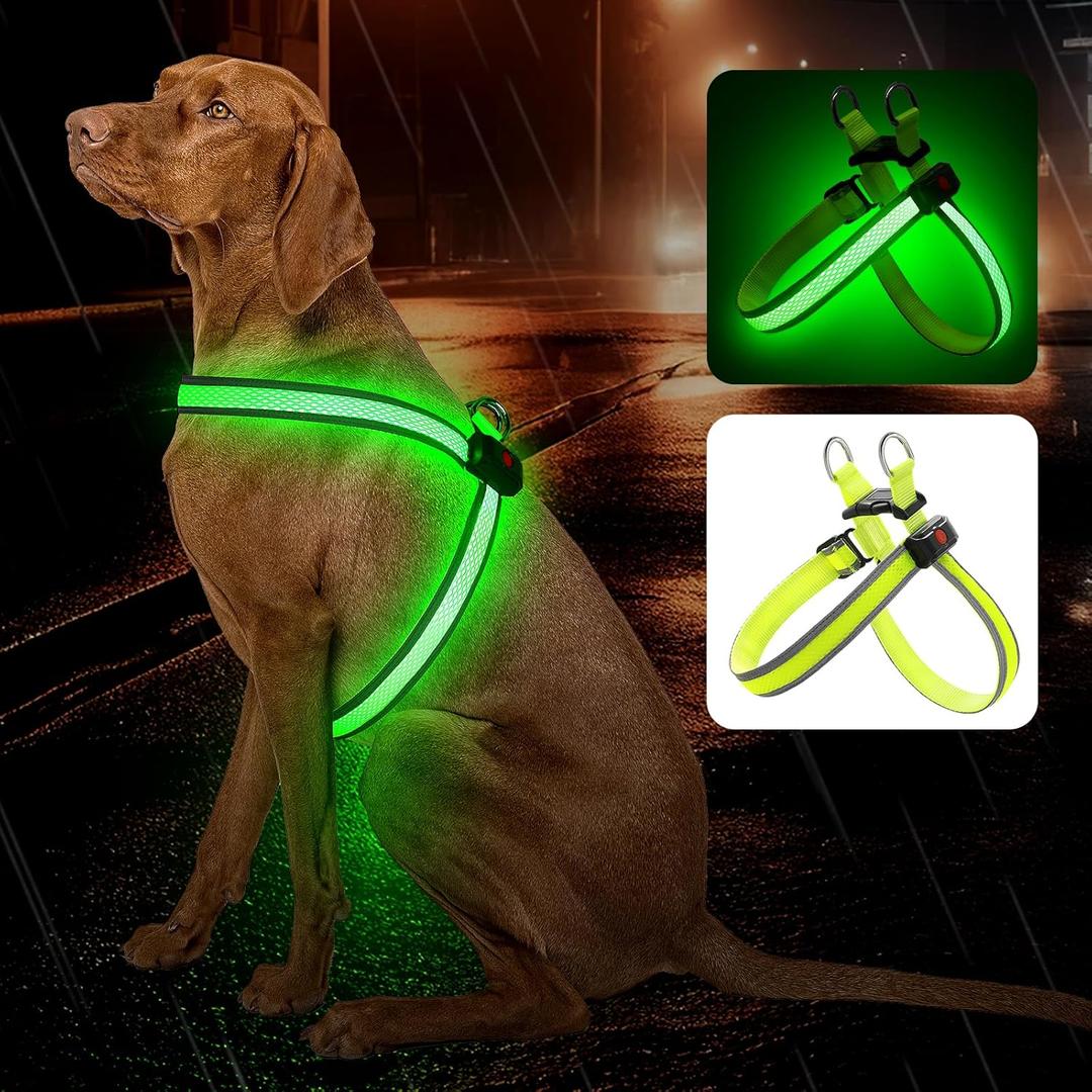 Light Up Dog Harness LED USB Rechargeable Lighted for Night Walking Adjustable Illuminated and Reflective Vest for Small Medium Large Dogs (Green, XS)