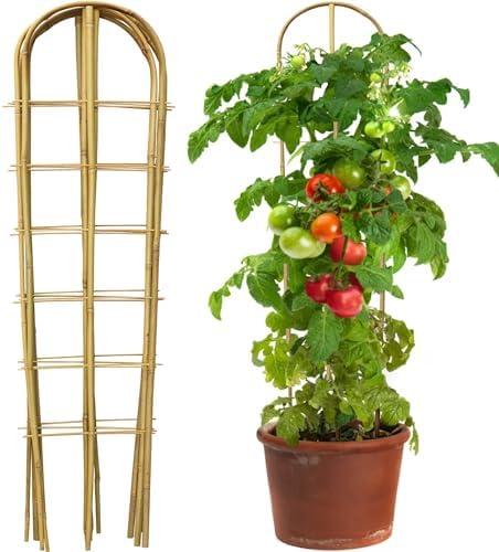 Taoskai 3 Pack 4 Feet U-Shape Bamboo Trellis, Natural Garden Bamboo Trellis for Climbing Plants, Vegetables, Cucumber, Tomato, Outdoor and Indoor Potted Plants