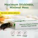 BugMD CatchShield Glue & Sticky Traps for Mice, Rats & Insects Non-Toxic Pest Control, 24-Pack, Pet & Family Friendly, Extra-Strength, Ready-to-Use Adhesive Traps