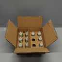 Air Wick Plug in Scented Oil Refill, 10ct, Summer Delights, Scented Oil, Air Freshener, Essential Oils, Eco Friendly