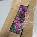 Dolicer 2 Packs Look Real Artificial Flowers for Outdoors, Fake Artificial Hanging Flowers for Outdoors Realistic UV Resistant Hanging Flowers Silk Petunia Faux Flowers for Porch Patio(Purple+Fuchsia)