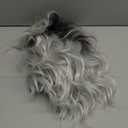 Silver Gray Wig with Bangs 14 Inch Short Bob Wavy Wig for Women Shoulder Length Ombre Grey for Cosplay Party Daily Use