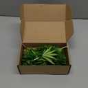 22pcs Artificial Succulents Realistic Mini Succulent Plants, Green Succulents Small Plants for DIY Crafting Garden Home Arrangement Office Decorations (Unpotted)