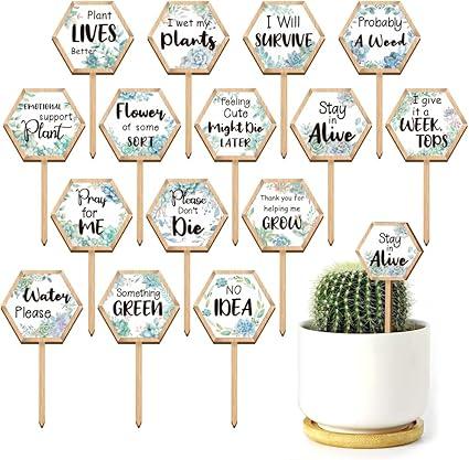 GOMAKERER 18Pcs Hexagonal Funny Plant Markers, Water Please Pray for Me Plant Labels Wood Greenery Garden Tags for Vegetable Flower Herb Succulent Seedling Potted, 2.5x4.7 Inch