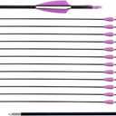 LWANO 28" Fiberglass Arrows - Archery Practice Target Arrows with Blunt Tips Durable Shaft for Youth Kids Children Beginners on Recurve & Long Bows (Pack of 12) (Purple)