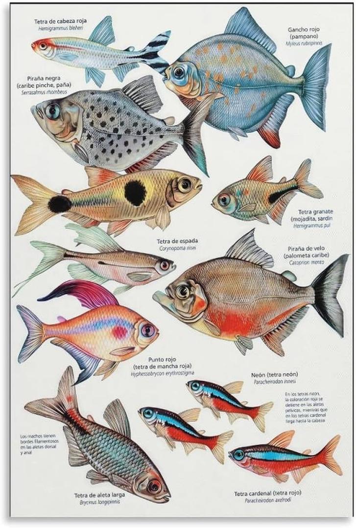 JHXNJDPOST Tropical Fish Poster Fishing Aquarium Educational Knowledge Canvas Wall Art Aesthetic Decorative Painting Living Room Restaurants, Pool Halls And Classroomstyle 16x24inch(40x60cm)
