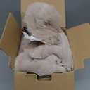 Ultra Soft Cozy Faux Fur Throw Blanket, Fuzzy Plush Thick Bubble Blanket, Oversize Luxury Fluffy Blanket for Couch, Sofa, Bedroom, and Living Room, 50x60 Inches, Light Brown