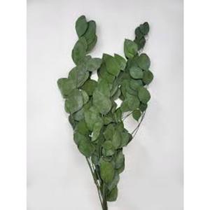 Spring Decor Pick 5 Packs