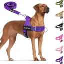 SlowTon No Pull Dog Harness - Heavy Duty Dog Harness and Leash Set for Medium Large Dogs, Reflective Tactical Harness with Soft Padded and Front Clip for Easy Walk and Training (MG, S)