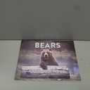 Bear Calendar 2026 Wall 12 Month Bears Gifts For Bear Lovers Women Men Monthly Calender| American Made In The USA