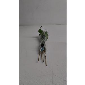 Pack Of 4 HD Designs Artificial Eucalyptus Stem - Green