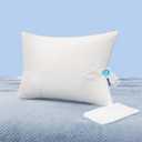 Natural Goose Down Pillows: Luxury Hotel Bed Pillow with 750 Fill Power, White Goose Down Sleeping Pillow with Pillowcase, Soft Pillow for Back, Side, Stomach Sleepers - 1 Pack, Queen (20" x 30")
