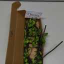 4 Pcs Artificial Ficus Branches Faux Eucalyptus Stems, 47.2 Inch Fake Greenery Stems Artificial Plants for Vase Filler Decoration, Fake Leaves Branches Centerpieces Decor