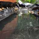 20 Mil LDPE Pond Liner for Fish Ponds, Water Features, Fountains, Waterfall and Water Garden (10 x 13FT)