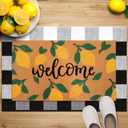 2 Pack Welcome Coir Door Mat Lemon and Buffalo Plaid Floor Mat for Entry Outdoor Indoor Heavy Duty Entryway Entrance Rug for Summer Front Door Porch Patio 35 x 23 and 28 x 16 Inch