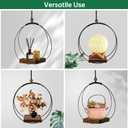 Hanging Planter for Indoor Plants, Black Plant Hanger Indoor with Sturdy Wood Base, Modern Boho Macrame Plant Hanger for 3-5.5 Inch Pot, Hanging Wall Ceiling Window Home Decor (Pots Not Included)