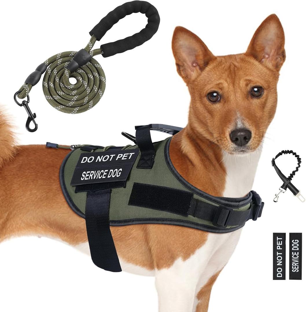 No Pull Dog Harness Small Medium Sized Dog, Service Dog Harness and Leash Set with 4 Patches, Adjustable Easy Walk Dogs Harnesses with Handle, Dogs Vest Harnesses French Bulldog, Chihuahua(Green, M)