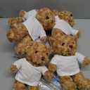 Blueweenly 20 Pcs Make Your Own Valentines Stuffed Bear Kit Including 9.84 Inches Velvet Animal White T Shirt 12 Colors Pens and Card DIY Stuffed Plush Valentine Gift for Crafts (Brown, Bear)