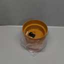 Flower Pot Diversion Safe with Key Lock, Secret Hidden Safe Box with False Bottom, Weatherproof Key Hider & Cash Vault for Outdoor Garden, Yard & Home, Plants Not Include (Matte Terracotta)