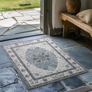EVERGRACE Faux Wool Area Rugs 2'x 3' Boho Medallion Rugs for Living Room Indoor Outdoor Rugs for Bedroom Dining Room Entryway Kitchen Low Pile Washable Floor Mat Carpet, Steel Gray