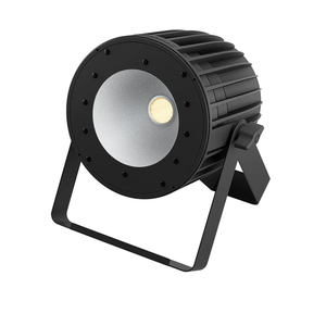 SHEHDS LED COB 200W Par Lights Cool White and Warm White 2in1 Stage Wash Lights 69 Degree Beam Angle DMX&Sound Actived Control Aluminum Alloy Shell Uplights for Disco DJ Church Wedding Concert Show