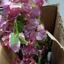 Erimda 7.2FT Artificial Bougainvillea Tree Artificial Tree Tall Potted Fake Bougainvillea Trees for Outdoor Indoor Lifelike Potted Faux Plants with Wood Trunk and Flowers Office Wedding Home Decor