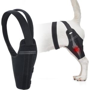 Dog Knee Brace for Back Legs Fit Large to Small Dogs Strong Support Adjustable Dog Leg Braces with 2 Metal Strips for Hip Dysplasia, ACL, CCL, Ligament Injuries & Osteoarthritis (Left Leg, M)