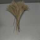 12 PCS Natural Pampas Grass Home Vase Filler Wedding Christmas Thanksgiving Garden Decorations Dried Reed Flower Bouquet