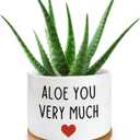 Thank You Very Much Engraved White Ceramic Succulent Planter Pot, Funny Indoor Plant Pot for Home Office Windowsill, Aloe Cactus Flower Pot 3.8 Inch, Plant Pot Gift (Plant Not Included)