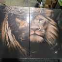 Jesus and Lion Canvas Wall Art Poster Set of 2, 40*60