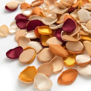 Ling's moment Rose Petals, Silk Flower Petals for Wedding/Aisle/Flower Girl Baskets/Table Centerpiece Dcor,etc.Burnt Orange Terracotta 200pcs