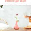 BESPORTBLE 10Pcs Terracotta Pot Plant Saucers, 3.12 Inch Round Terracotta Planter Saucers Small Clay Planter Drip Trays for Indoor Outdoor Plants