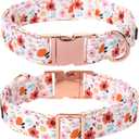 Lionet Paws Dog Collar, Adjustable Cute Collar with Metal Buckle for Male Female Puppies,Summer Flower, Large, Neck 16-24 inches