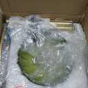 Gold Floor Lamp for Living Room,Bedroom,Mid Century Modern Standing Lamp with Remote,Dimmable Brass Tall Lamp Green Glass Lamp Vintage Retro Arc Floor Lamps Flower Floor Light Boho Bohemian