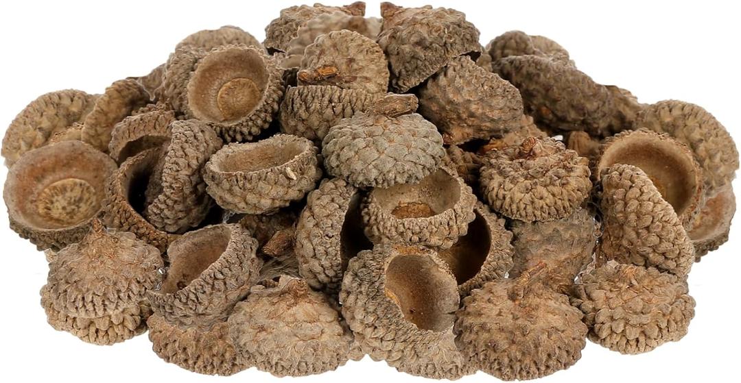 3 x Angoily Natural Acorn Shells 50Pcs 0.78In Dried Acorn Craft Decorations for Autumn Wedding Christmas Tree Photo Props Home Party Hanging Ornaments