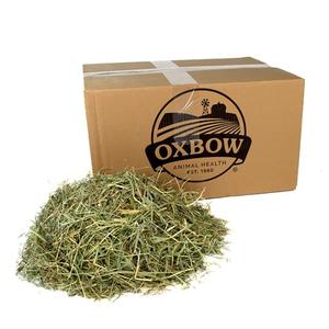 Oxbow Orchard Grass Hay, All Natural Grass Hay, Food for Pet Chinchilla, Rabbit, Guinea Pig, Hamster, Gerbil & Other Small Pets, Guinea Pig Food, Bunny Stuff, 25 lb. box