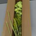 ATFL Green Poppy Flowers Artificial Bouquet for Wedding,12 Pcs Fake Faux Silk Poppies Bulk for Home Decor Table Centerpieces Floral Arrangement(23.5, Green)