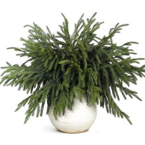 20 Pcs Christmas Norfolk Pine Branches -18" Real Touch Artificial Norfolk Pine Branch Faux Plants Stem Fake Greenery Pine Picks for Vase DIY Crafts Garland Wreath Home Indoor Outdoor Decoration