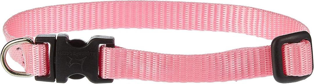 LupinePet Basics 1/2" Pink 10-16" Adjustable Collar for Small Dogs