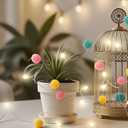 LED Pom Poms Fairy Lights - 21Feet, 20 LED, Battery Operated, Warm White Globe Lights Cute for Home,Kids Playhouse, Holiday, Christmas, Kids Room Party Birthday Wedding Valentines Decorations