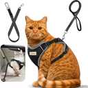 2 x Cat Harness and Leash for Walking, Retractable Cat Harnesses and Leash Set Escape Proof, Breathable Soft Kitten Small Large Harness for Travel Training and Walking, Black, XXS (XXS(chest:8.1"-13.0"))