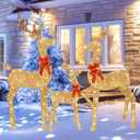HOYECHI 5 FT Oversized Christmas Decorations Outdoor Lighted Reindeer  3-Piece 2D Deer Family Set with 160 Warm White LED Lights for Yard, Lawn, Garden & Porch Holiday Display - Gold