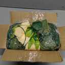 TELDRASSIL 4Pcs(26 FT) Artificial Rose Vine Fake Flower Garland Fake Silk Rose Hanging Vine for Wedding Party Background Arch Garden Background Decoration (Champagne)