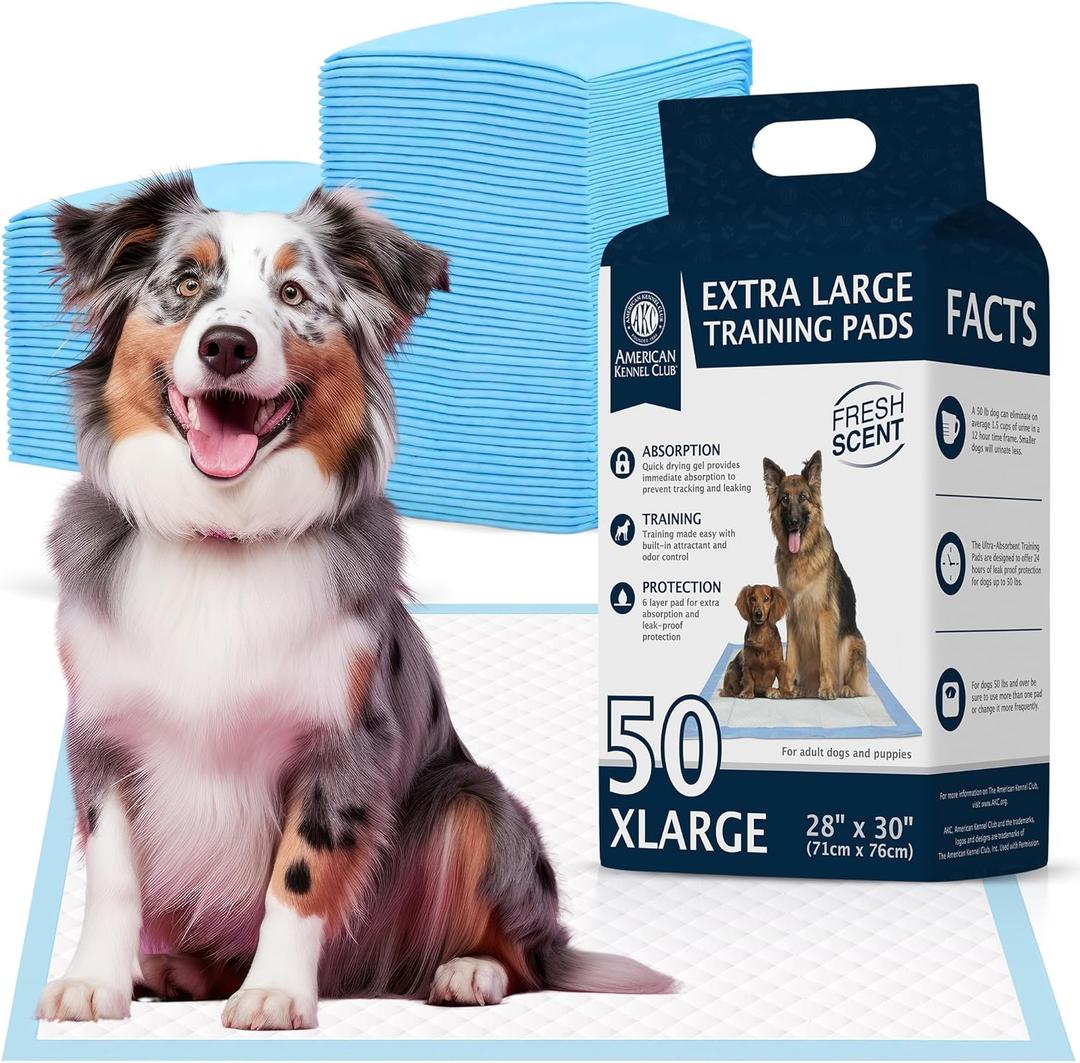 American Kennel Club Scented Puppy Training Pads with Ultra Absorbent Quick Dry Gel  28 x 30 Pee Pads for Dogs - Fresh Scented - 50 Count, XL
