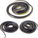 3-Pack Ultra-Realistic Rubber Snakes for Halloween Decorations, Garden Bird Scare, Pranks Large Fake Black Mamba Toy (47 & 31.5) Durable Outdoor/Indoor Props