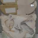 Neutral Sage Green Baby Shower Centerpieces  12 PCS Teddy Bear Honeycomb Table Decorations for Gender Neutral Boho Baby Shower Party